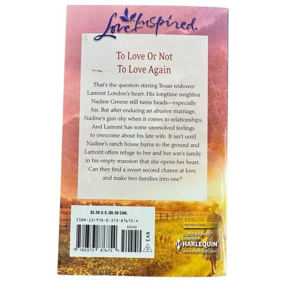 An Accidental Family by Loree Lough (Paperback) - Picture 2 of 6